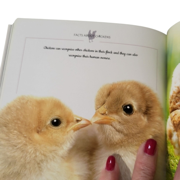 Cool Chickens Book NEW By Fern Collins - Picture 10 of 14